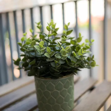 Апартаменты Eric - Spacious With Balcony *