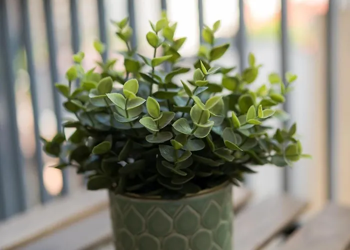 Διαμέρισμα Eric - Spacious With Balcony *